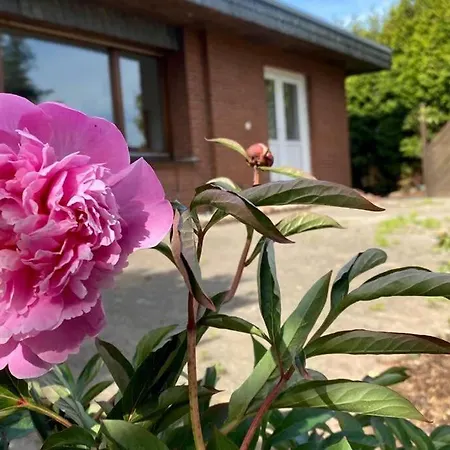 Ferienhaus Am See Holiday home